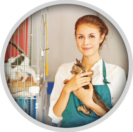 boarding service - profile of vet holding kitten
