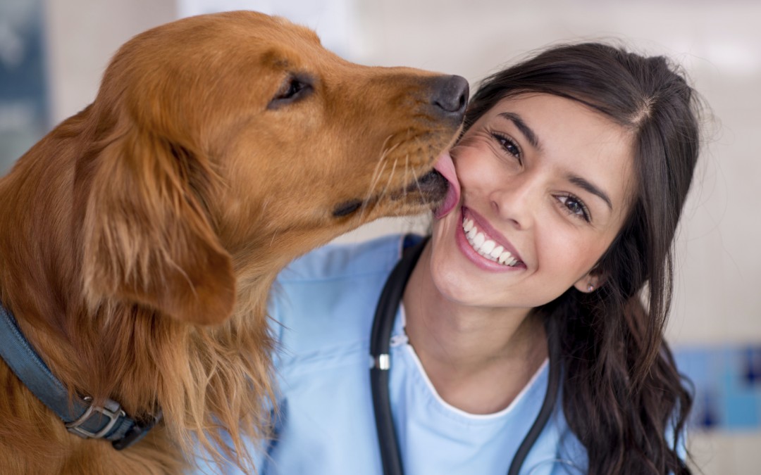 pet health care - Dog giving kiss to the vet