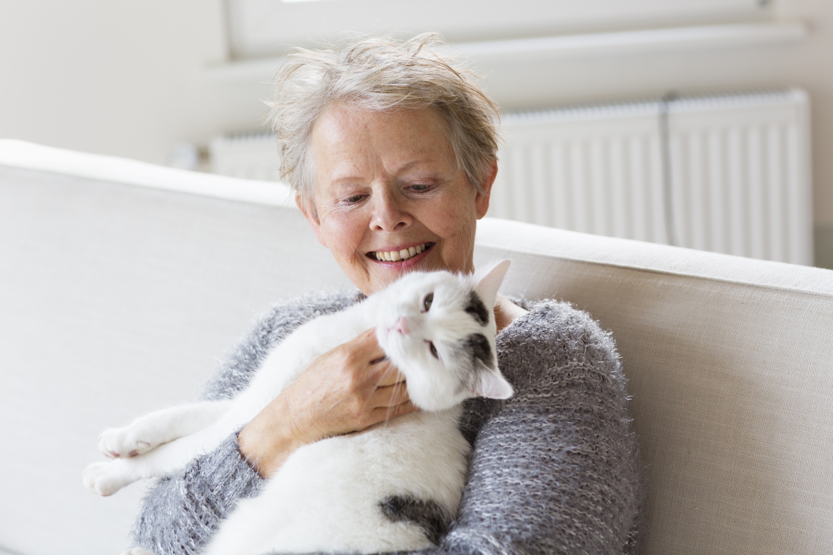 Five Reasons Why Cats Make Great Pets