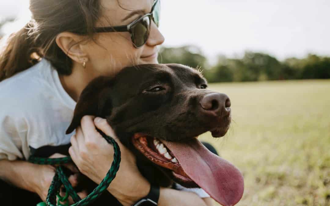 woman hugging brown lab-how to find a reliable pet sitter