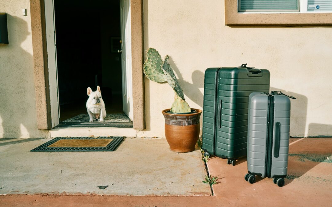 Traveling with Pets During the Holidays