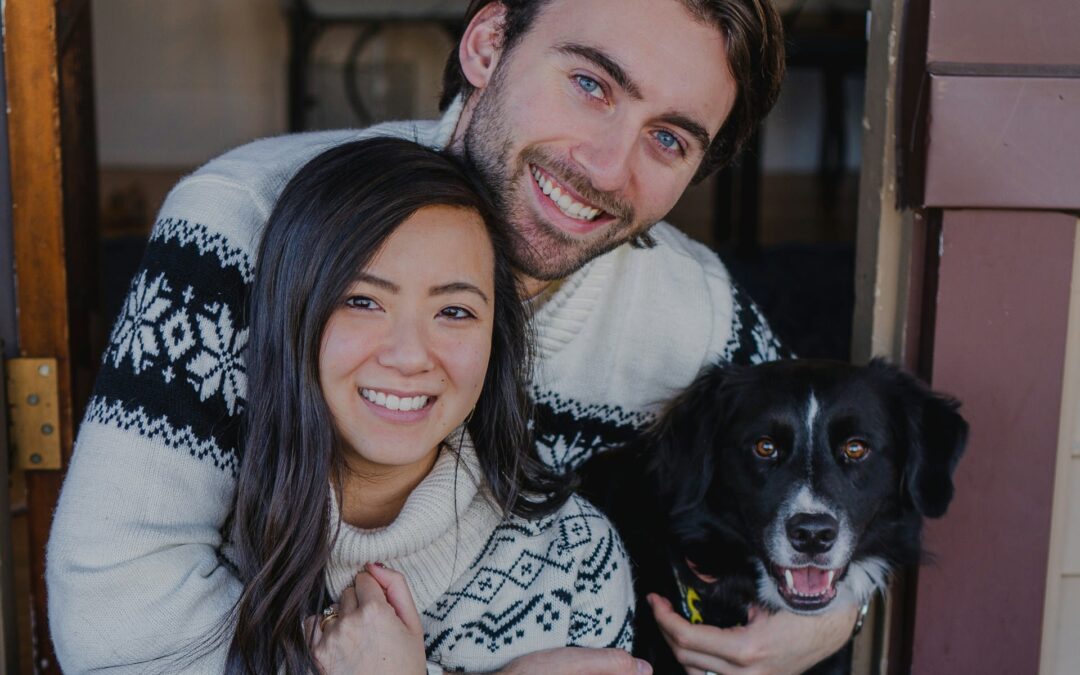 Pets and Holiday Visitors: How to Help Your Pet Cope